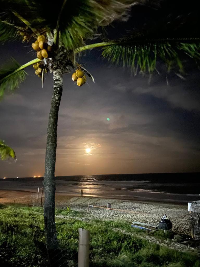 Ancorar Resort Beira-Mar De Pôrto das Galinhas Zewnętrze zdjęcie